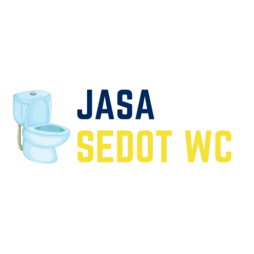 Sedot WC Mampet  di Praya